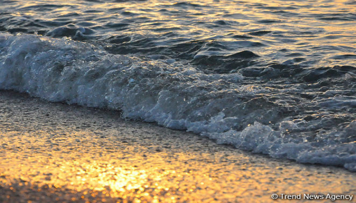 В Иране введен запрет на купание в Каспии