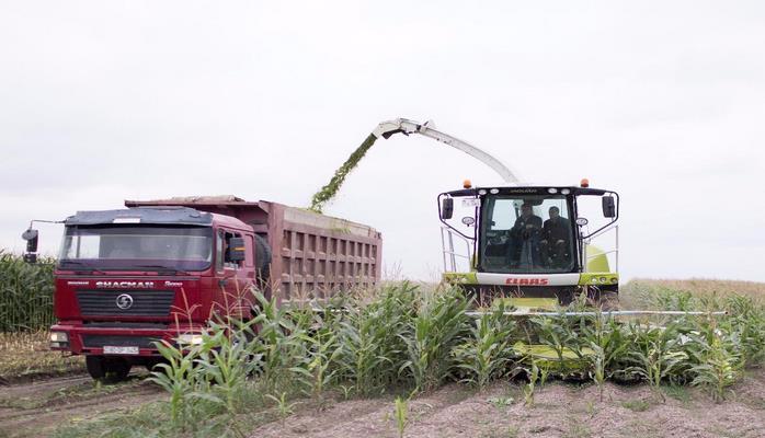 Компания CLAAS и минсельхоз Азербайджана провели «День поля»