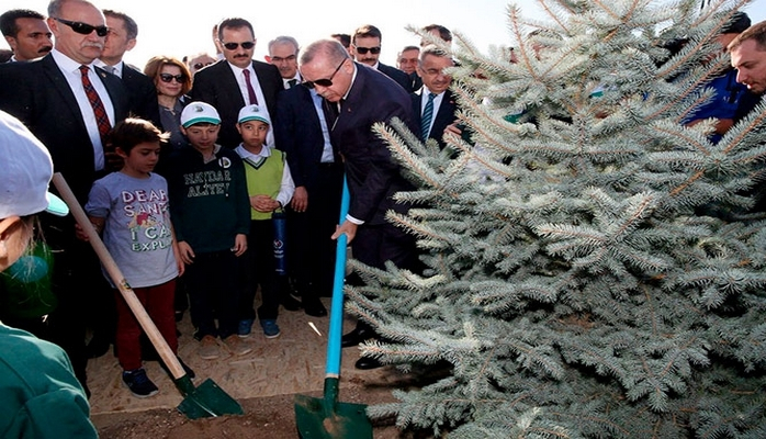 Ərdoğan "Heydər Əliyev parkı"nda ağac əkdi