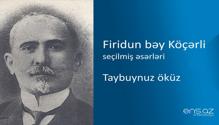 Firidun bəy Köçərli - Taybuynuz öküz