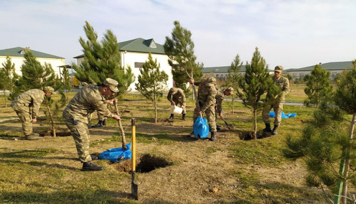 Azərbaycan Ordusunda ağacəkmə aksiyası keçirilir