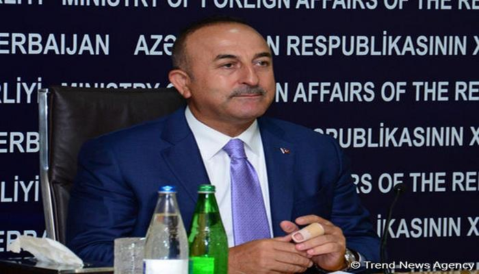 Çavuşoğlu Makronun qondarma "erməni soyqırımı" ilə bağlı qərarını tənqid edib