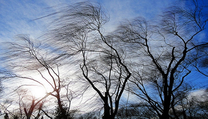 В Баку и на Абшеронском полуострове ветер усилился до 35 м/с - министерство