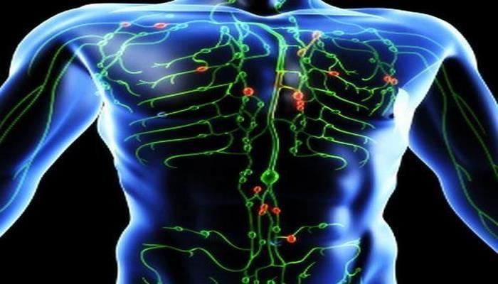 Ученые рассказали о способах очистки лимфатической системы от токсинов