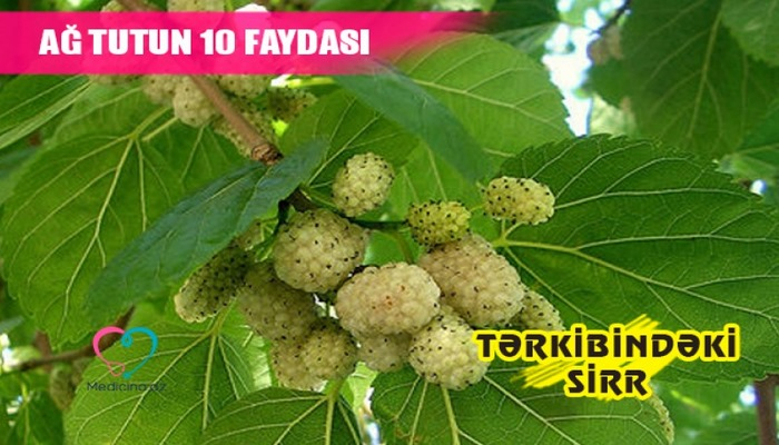 Ağ tutun inanılmaz 10 faydası