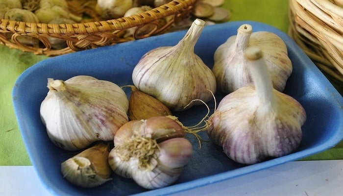 Hansı xəstəliklər zamanı sarımsaq yemək olmaz