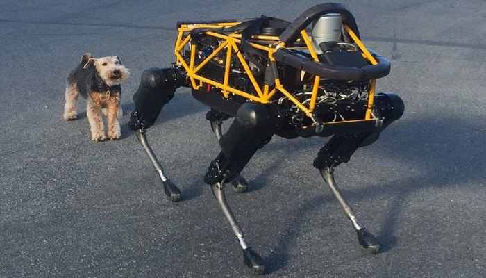 Как собака реагирует на робота Boston Dynamics