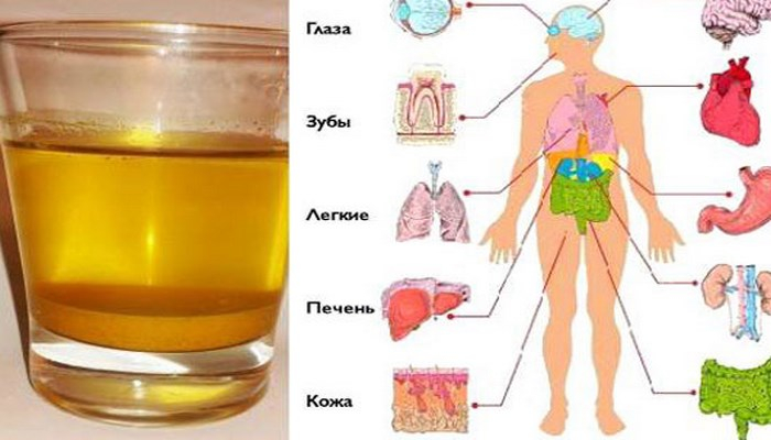 Hər gün sarıkök suyu içəndə orqanizmdə nə baş verir?