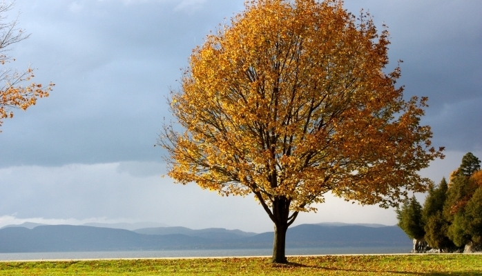 Hava və iqlim