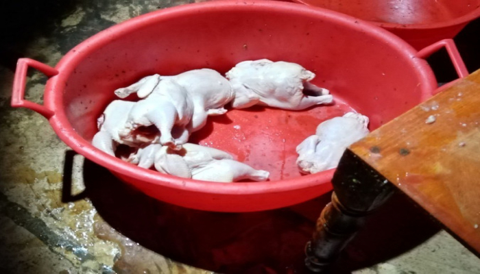 Gəncədə karantin rejimini pozan iaşə obyektləri aşkarlandı