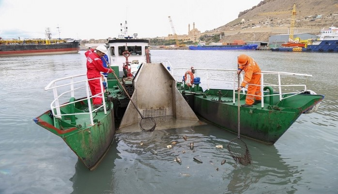 Azərbaycan bu il Xəzər dənizindən 160 ton şüşə çıxarıb