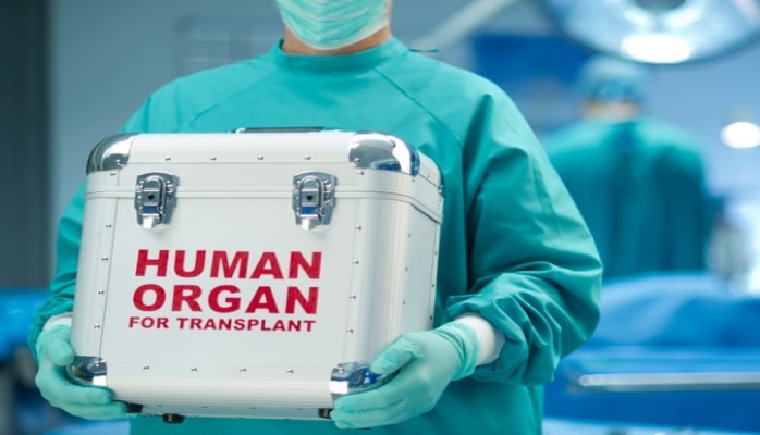 “İnsan orqan və toxumalarının donorluğu və transplantasiyası haqqında” qanun layihəsi MM-də müzakirə edilib
