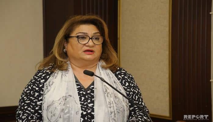 Международные организации готовят отчеты по Азербайджану на основе старых данных