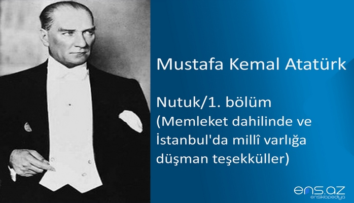 Mustafa Kemal Atatürk - Nutuk/1. bölüm/Memleket dahilinde ve İstanbul'da millî varlığa düşman teşekküller