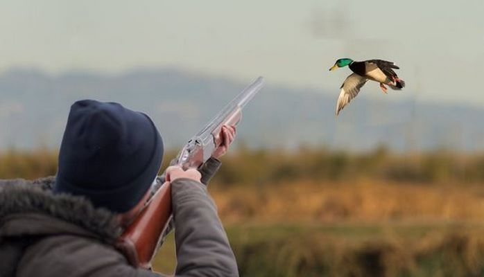 Браконьер оштрафован на крупную сумму в Азербайджане
