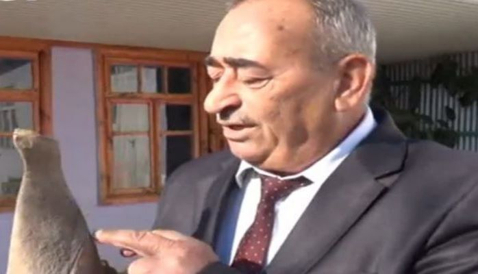 В Джалилабаде обнаружена находка возрастом более 3 тысяч лет