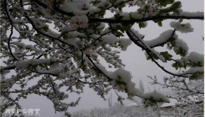 В Губинском районе Азербайджана выпал снег