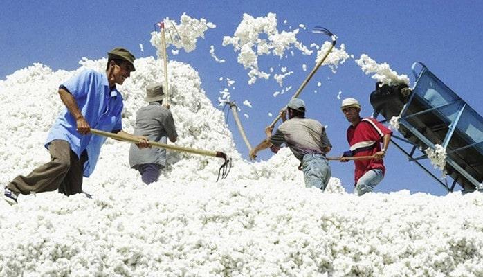 Azərbaycan qeyri-neft məhsullarının ixracını 13% artırıb