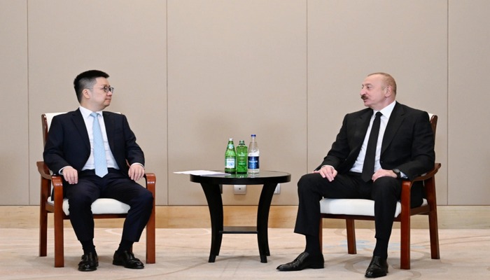 Azərbaycan Prezidenti "Sichian Sunsync Photovoltaic Technology Co" şirkətinin təsisçisi ilə görüşüb