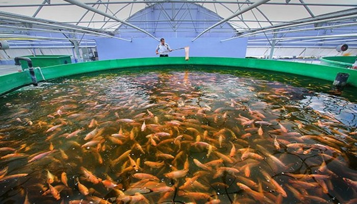 Azərbaycanda akvakultura torpaqlarının kateqoriyasına dair normalar dəqiqləşdirilib