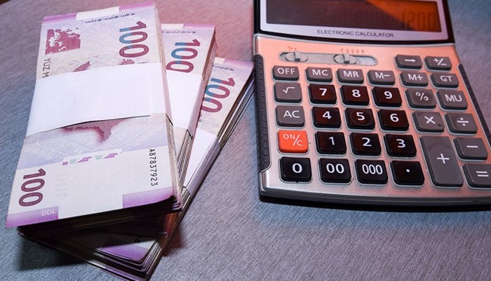 Azərbaycanda işsizlikdən sığorta daxilolmaları 18 % artıb