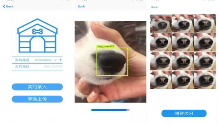 В Китае создали систему распознавания собак по отпечатку носа
