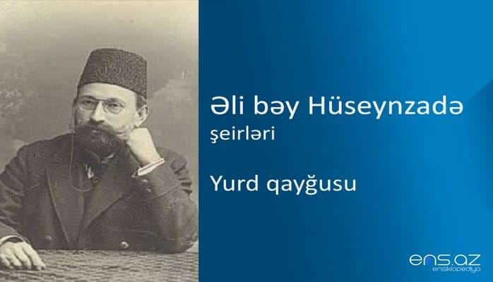 Əli bəy Hüseynzadə - Yurd qayğusu