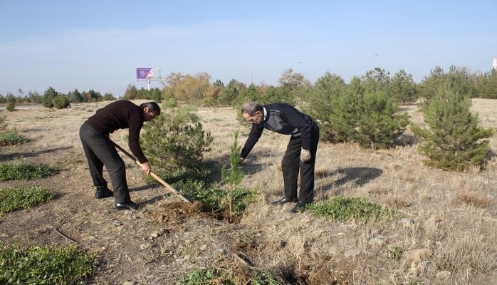 UTECA 450 ağac əkdi