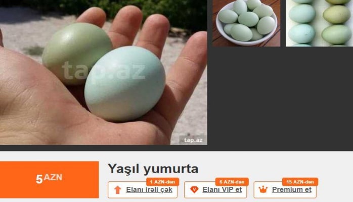 Dənəsi 5 manata satılan yaşıl yumurta: daha faydalıdır?