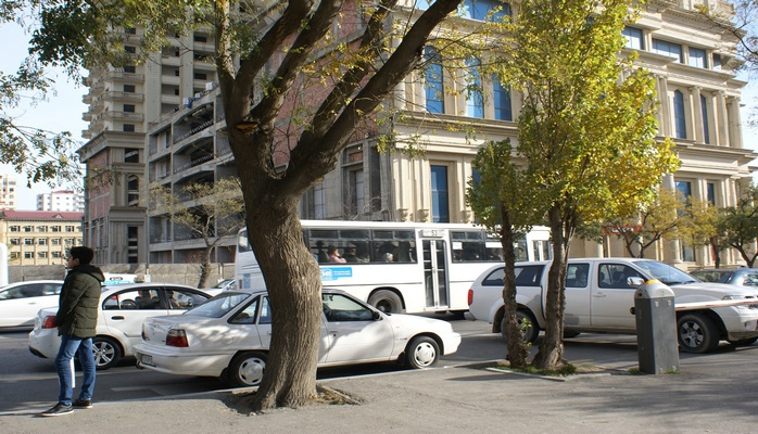 BNA: Qaydanı pozan sürücülərin sayı yaxın günlərdə açıqlanacaq