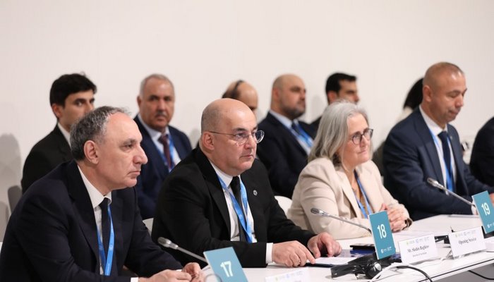 COP29-da aparıcı gömrük rəsmilərinin dialoqu olub