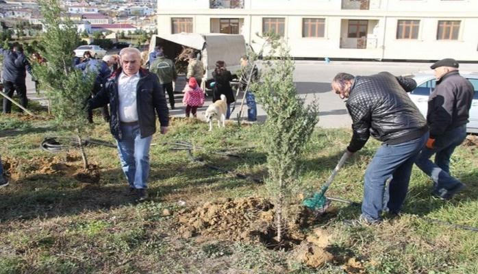 “Jurnalistlər binası”nda ağacəkmə aksiyası