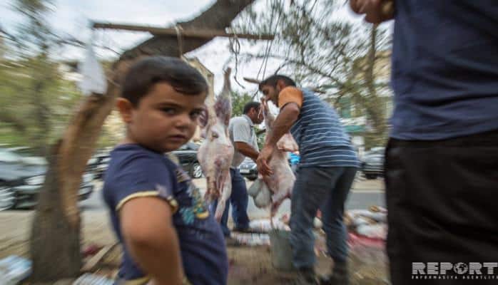 Qurban bayramında heyvan kəsimi üçün ayrılan yerlərin siyahısı açıqlanıb