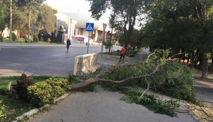 БТА обратилось к водителям в связи с ветреной погодой