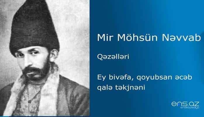 Mir Möhsün Nəvvab - Ey bivəfa, qoyubsan əcəb qalə təkjnəni