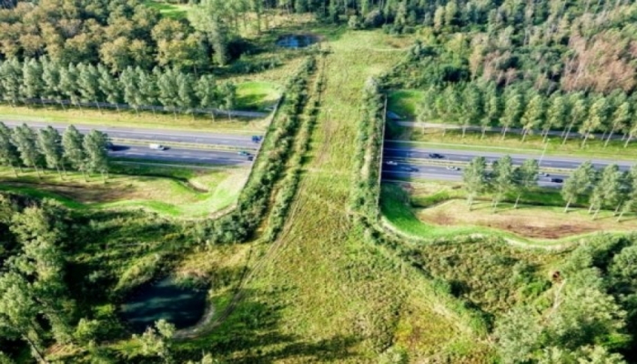 В Китае завершается строительство первого надземного перехода для миграции диких животных