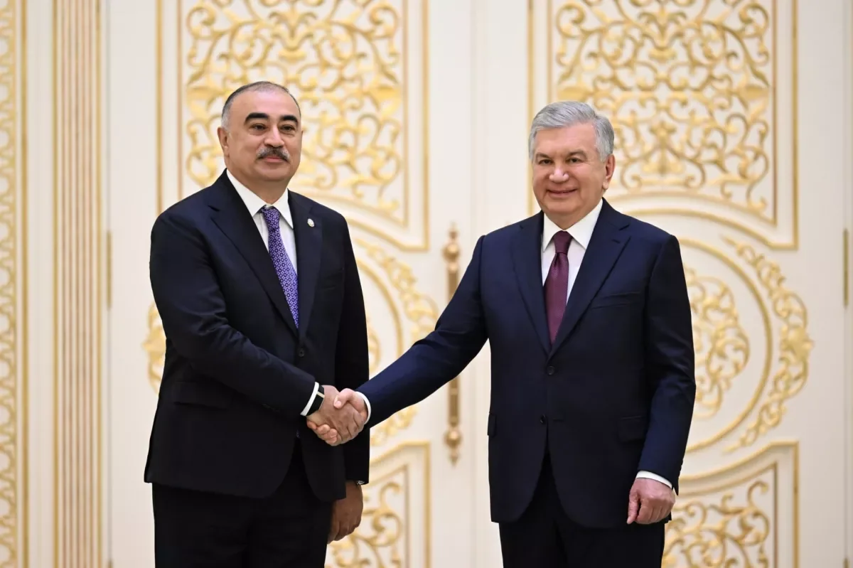 Azərbaycanın yeni səfiri etimadnaməsini Özbəkistan Prezidentinə təqdim edib