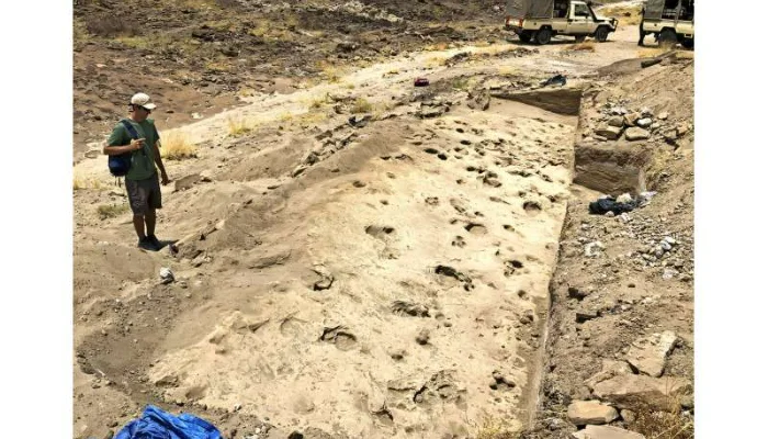 1,4 milyon illik fosil ayaq izləri qədim insan qohumlarının bədən ölçüsü və sosial davranışı barədə yeni məlumatlar ortaya qoyub