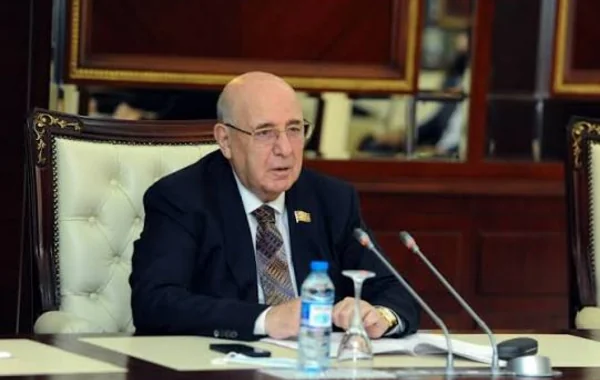 Uzaq kəndlərdə səhiyyənin vəziyyəti: Komitə sədri ilkin tibbi xidmətlə bağlı problemləri açıqladı