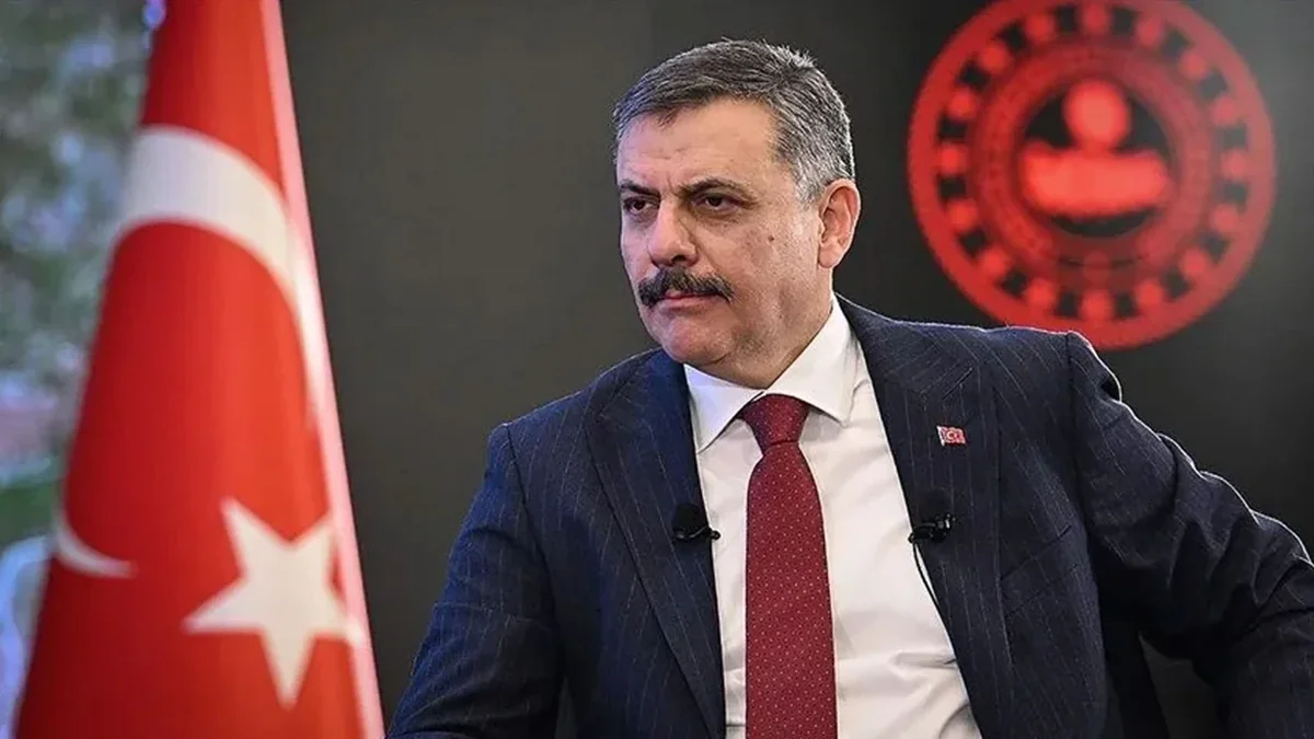 Türkiyədə dələduzluğa qarşı yeni mərkəz yaradılır: Nazir elan etdi