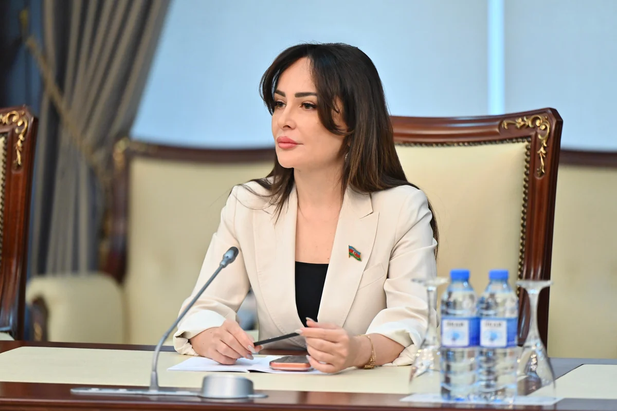 Deputatdan təklif: "Elektron nəzarət mexanizmi yaradılsın"