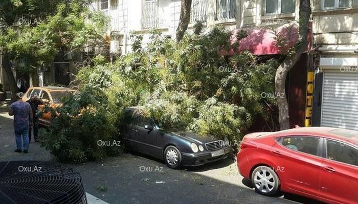 Сильный ветер в Баку: 5 пострадавших, 10 поврежденных автомобилей