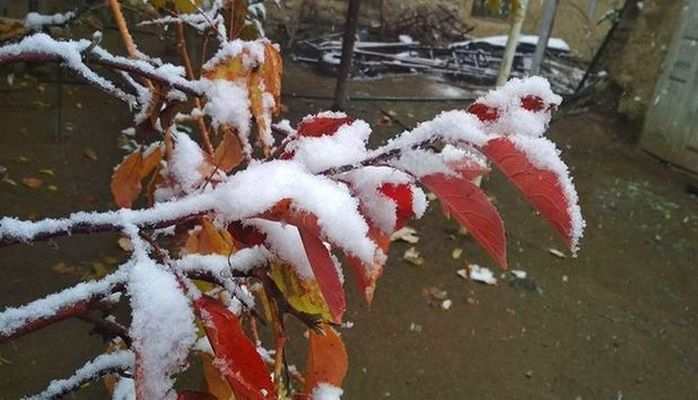 В Нахчыване выпал снег