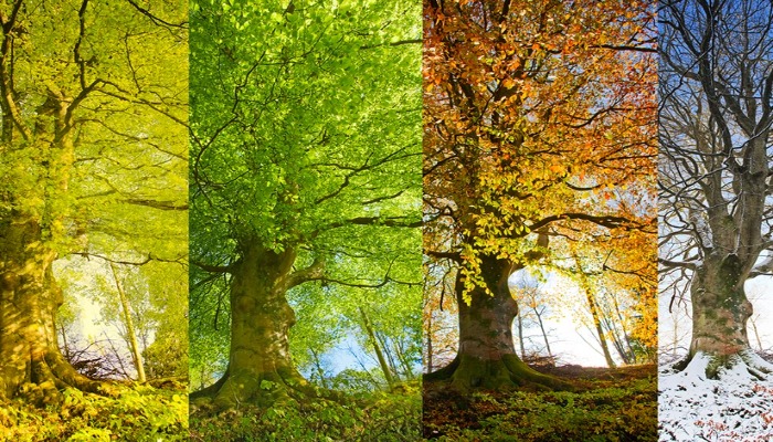 Gələn il fəsillərin Azərbaycana daxilolma vaxtları açıqlanıb