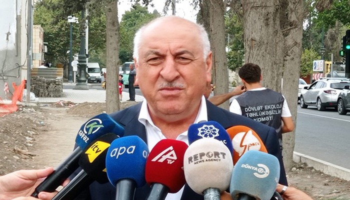 Gəncədə qurumuş ağaclar nömrələnir - Fotolar