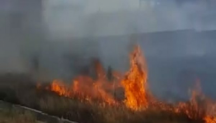 Nazirlik Xızıdakı yanğınla bağlı məlumat yaydı