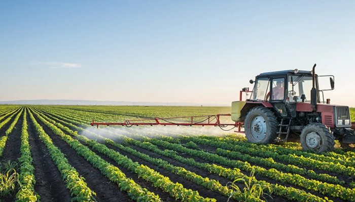 Nazirlər Kabineti aqrar sektorla bağlı qərar verib