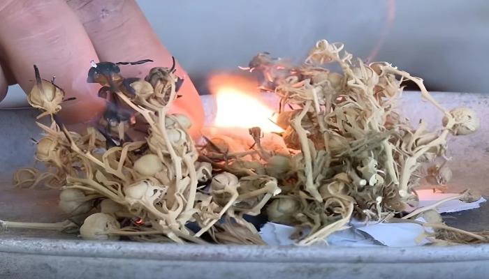 Nazirlik ÜZƏRLİKLƏ BAĞLI əhaliyə müraciət etdi