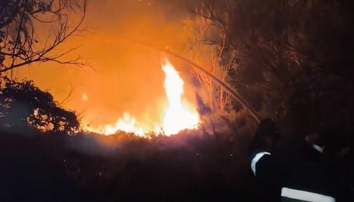 Qızılağac Milli Parkının ərazisində yanğın başlayıb