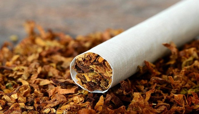 Tütün məmulatlarının idxalı və istehsalında yeni rüsum son oxunuşda təsdiqlənib